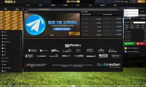 막걸리 카지노 바카라 토토사이트