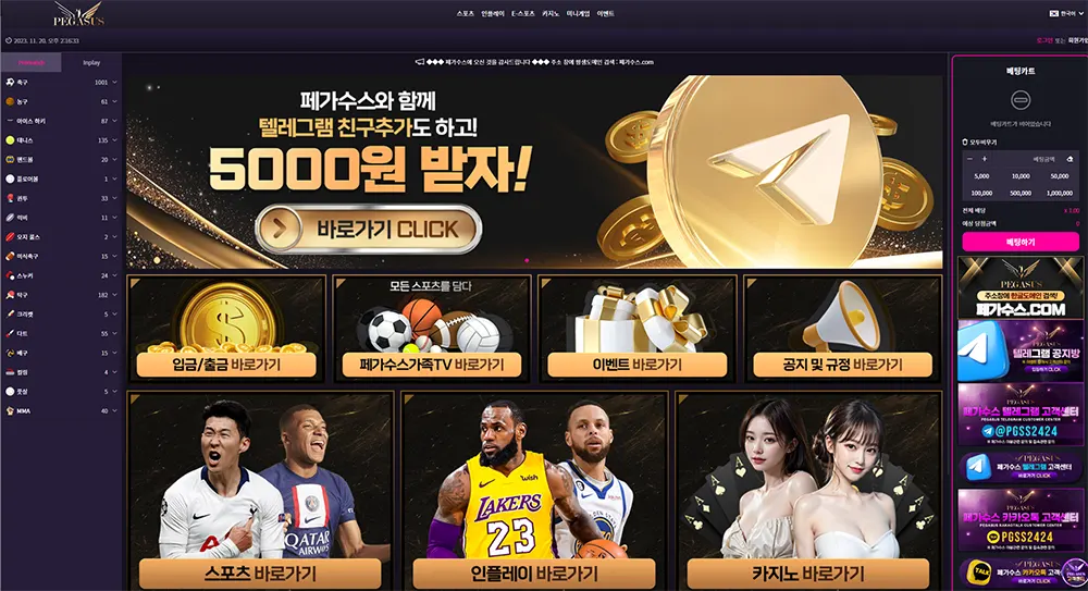페가수스[Pegasus] 카지노 인플레이 토토