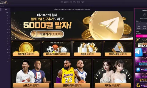 페가수스[Pegasus] 카지노 인플레이 토토