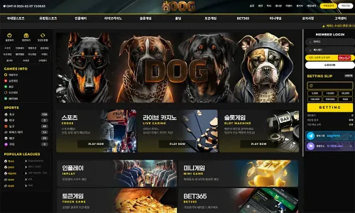도그벳[Dog Bet]