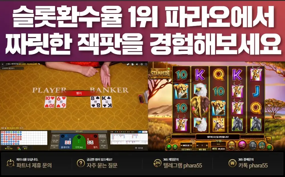 슬롯환수율 1위 파라오카지노에서 짜릿한 잭팟을 경험하세요.